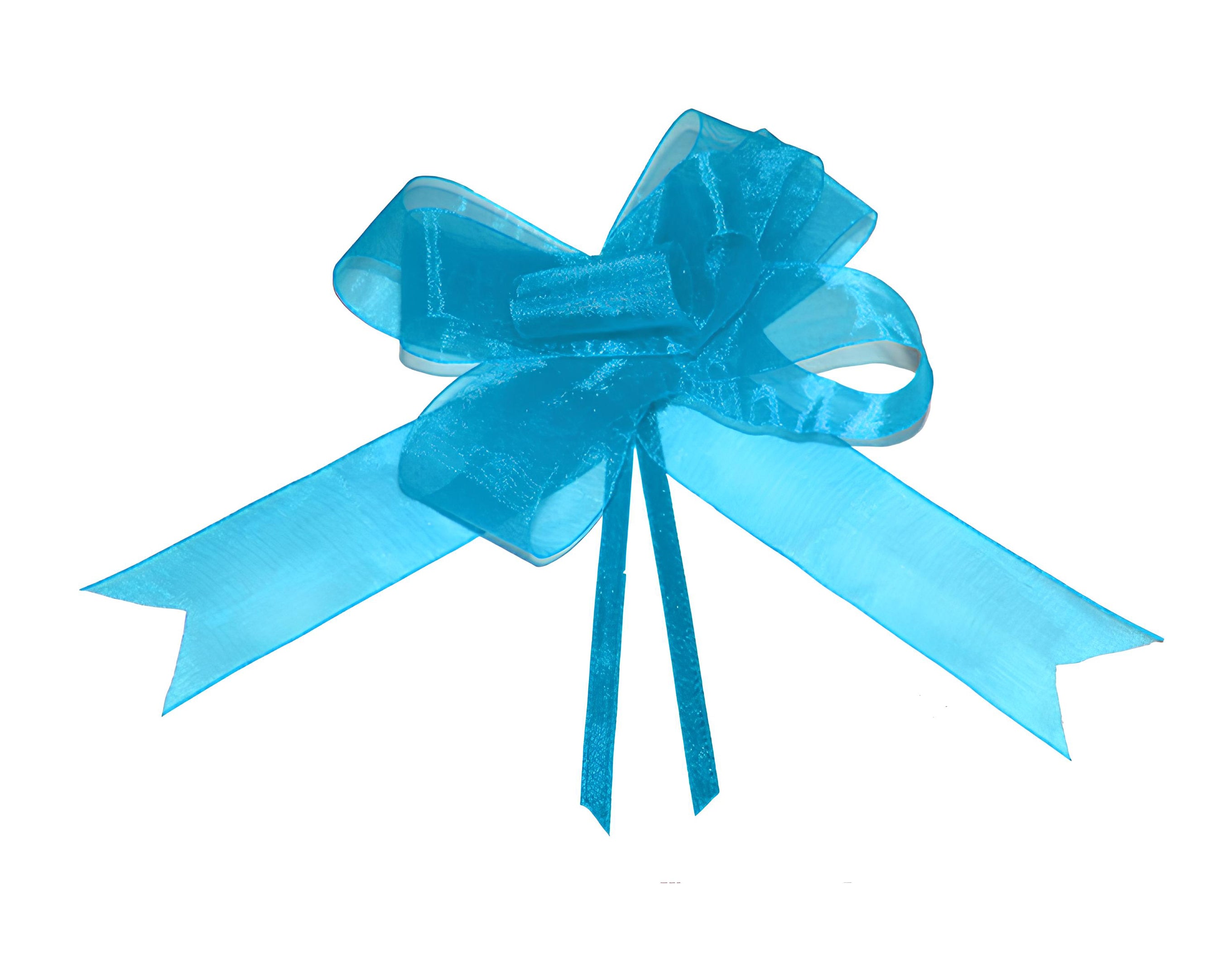 FIOCCO SVELTO ORGANZA CM 4 TURCHESE | Incarto PPL per uova di Pasqua al cioccolato DAGERAF