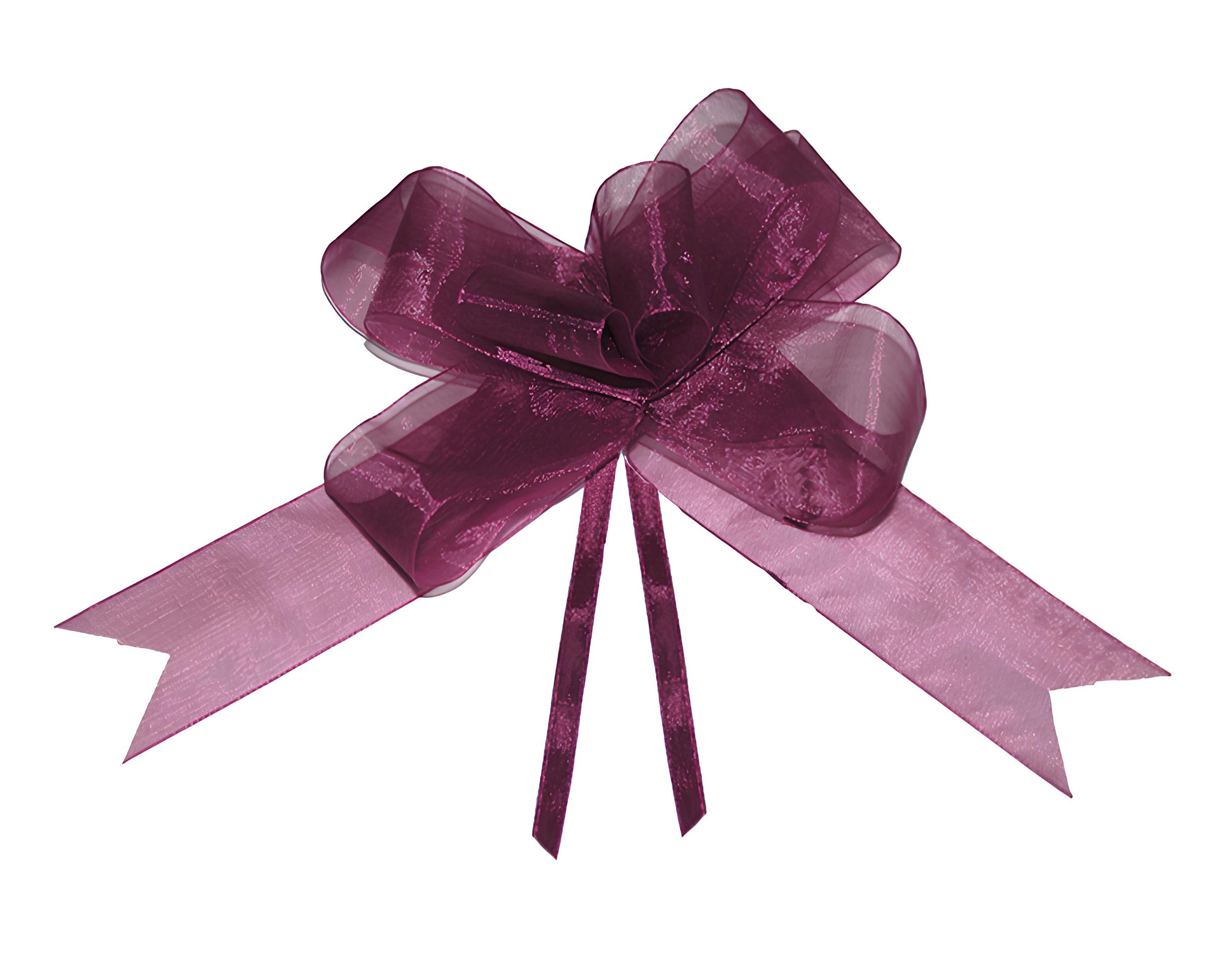 FIOCCO SVELTO ORGANZA CM 4 AUBERGINE | Incarto PPL per uova di Pasqua al cioccolato DAGERAF