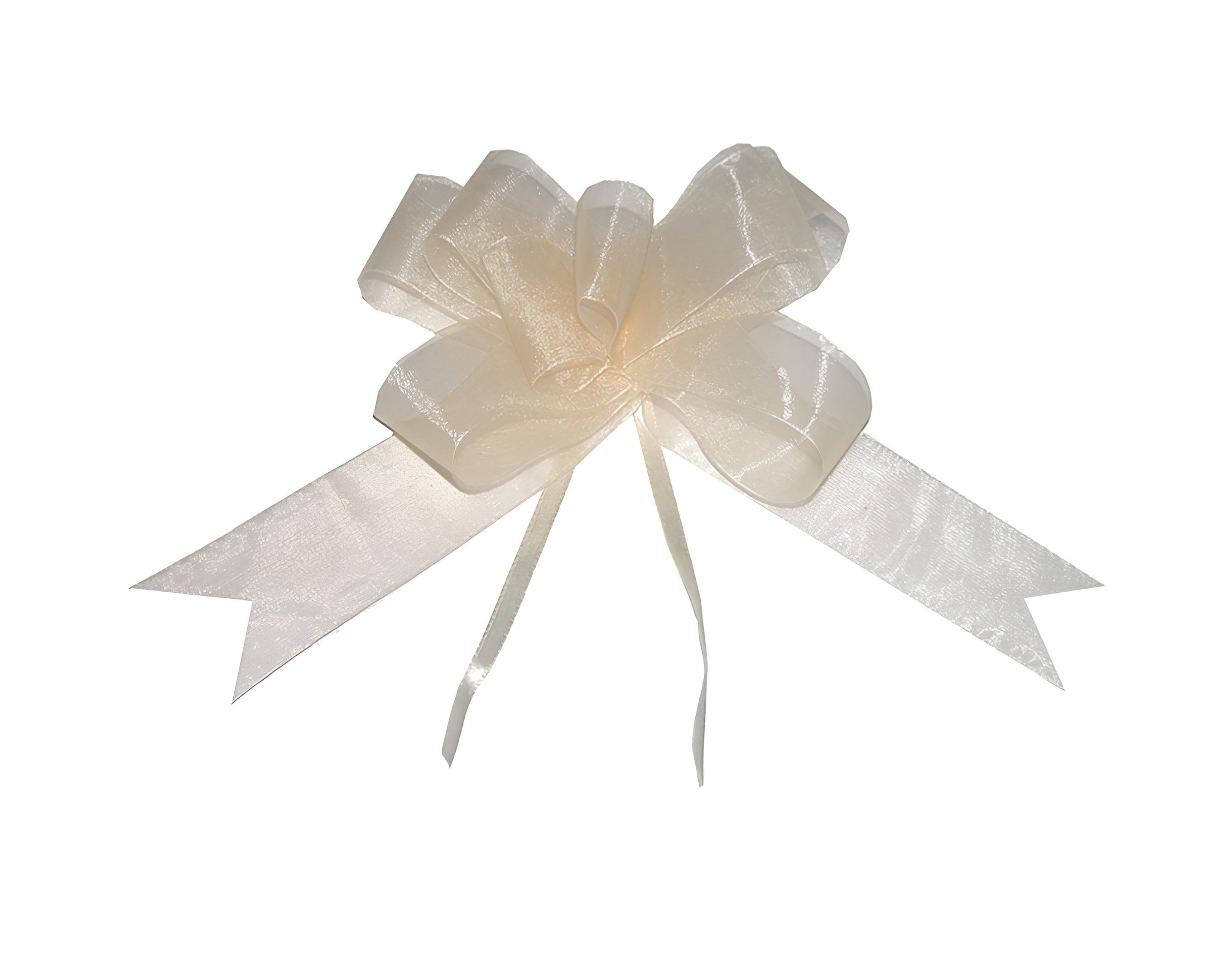 FIOCCO SVELTO ORGANZA CM 2.5 CREMA | Incarto PPL per uova di Pasqua al cioccolato DAGERAF