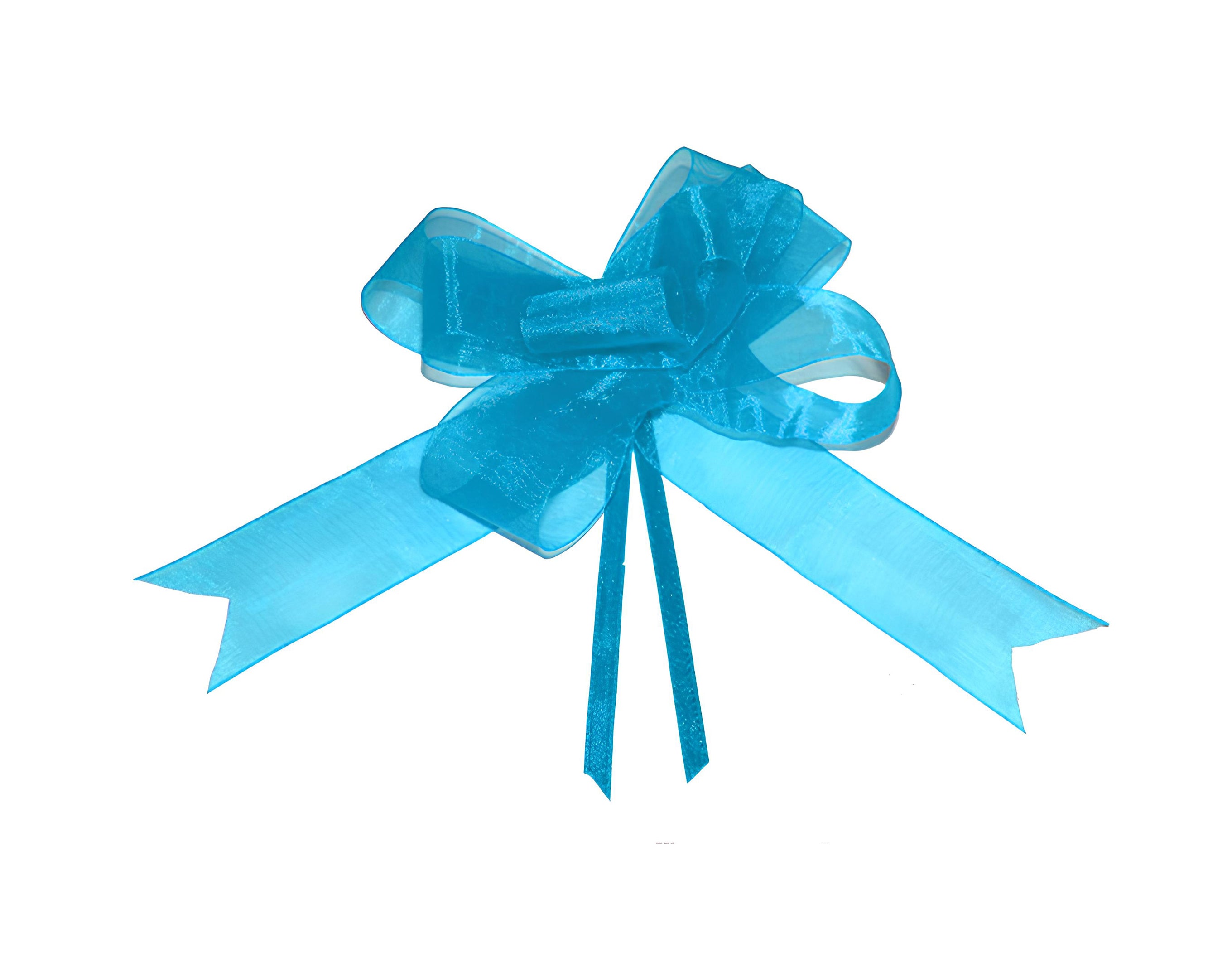 FIOCCO SVELTO ORGANZA CM 2.5 TURCHESE | Incarto PPL per uova di Pasqua al cioccolato DAGERAF
