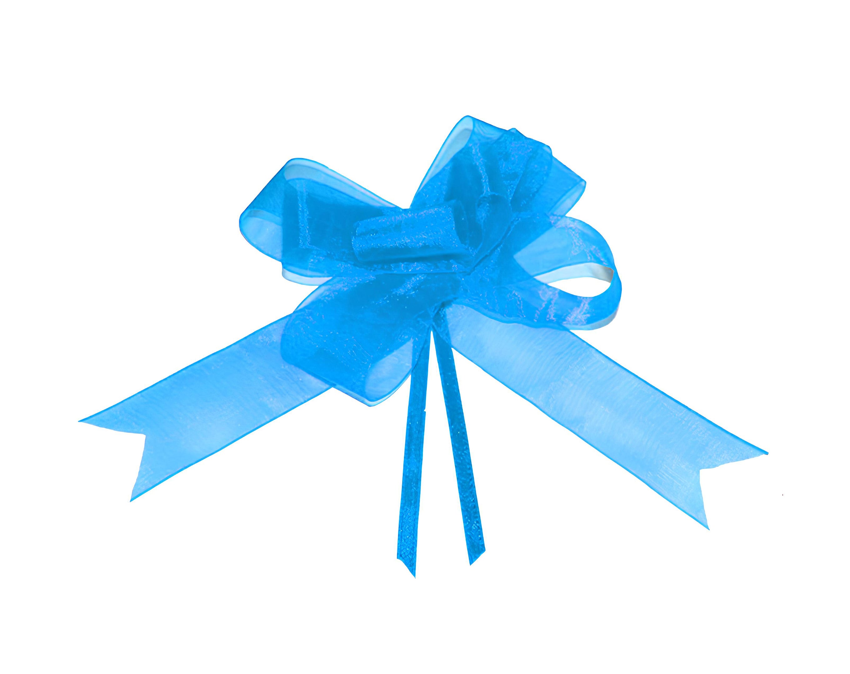 FIOCCO SVELTO ORGANZA CM 2.5 AZZURRO | Incarto PPL per uova di Pasqua al cioccolato DAGERAF
