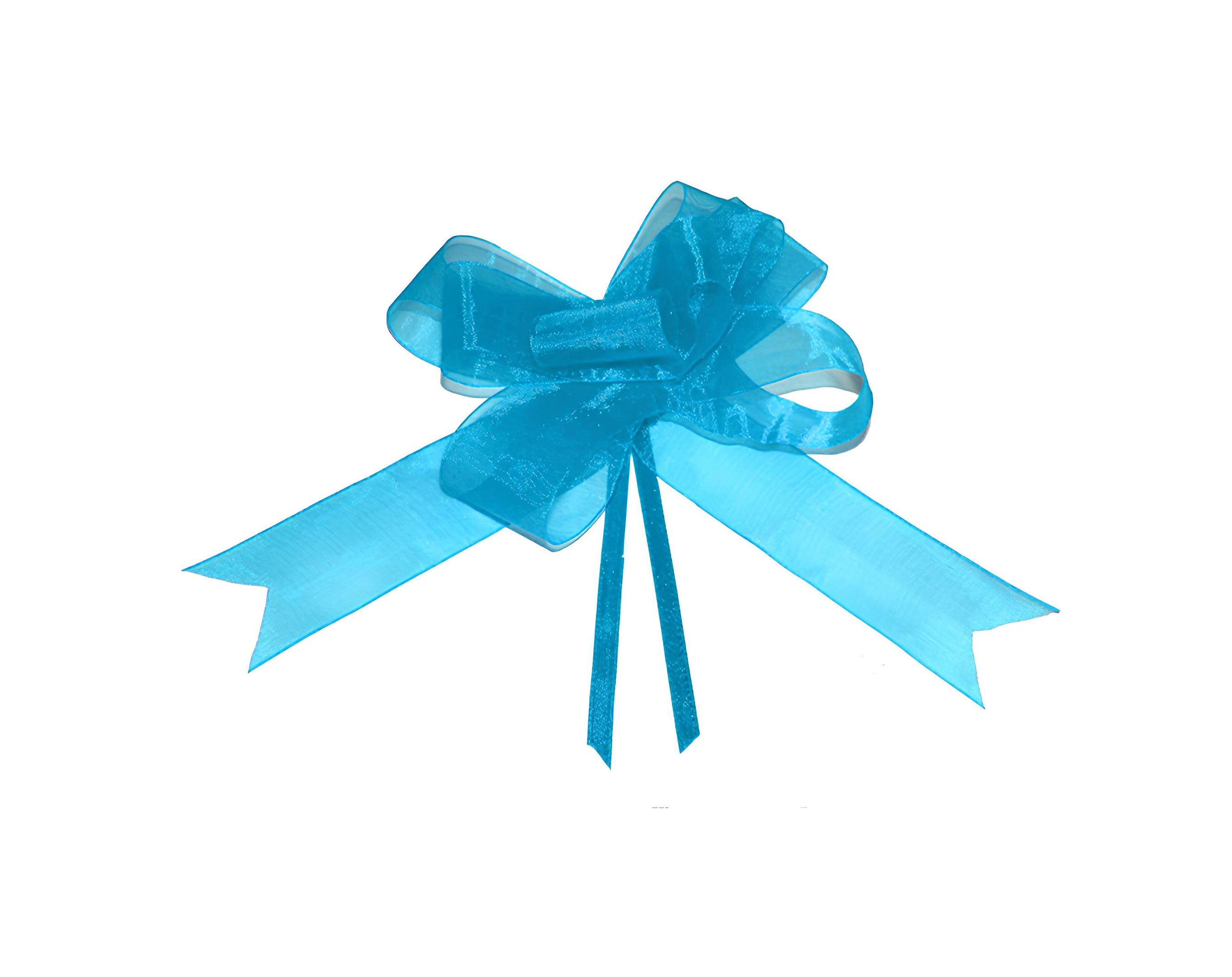 FIOCCO SVELTO ORGANZA CM 1.5 TURCHESE | Incarto PPL per uova di Pasqua al cioccolato DAGERAF