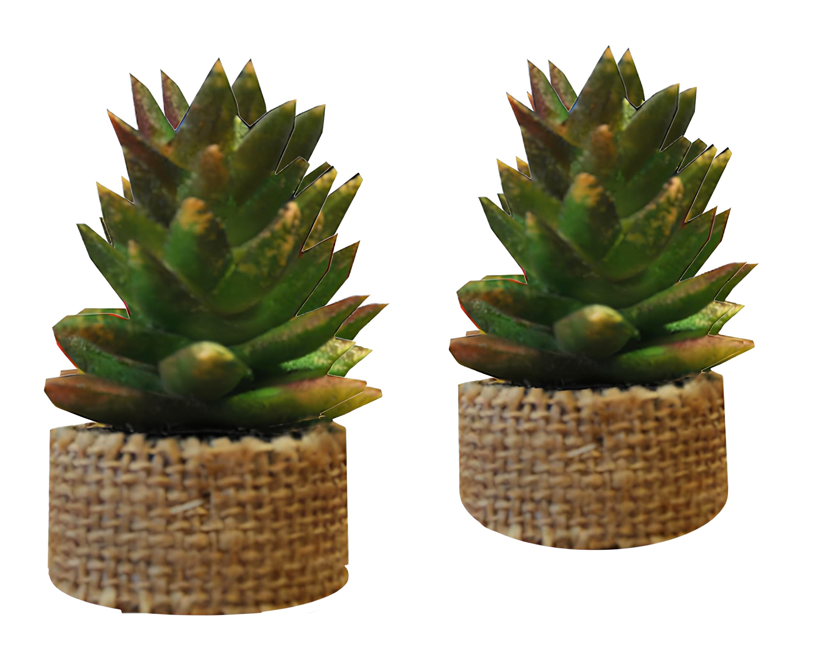 PIANTINA GRASSA CON JUTA | Incarto PPL per uova di Pasqua al cioccolato DAGERAF