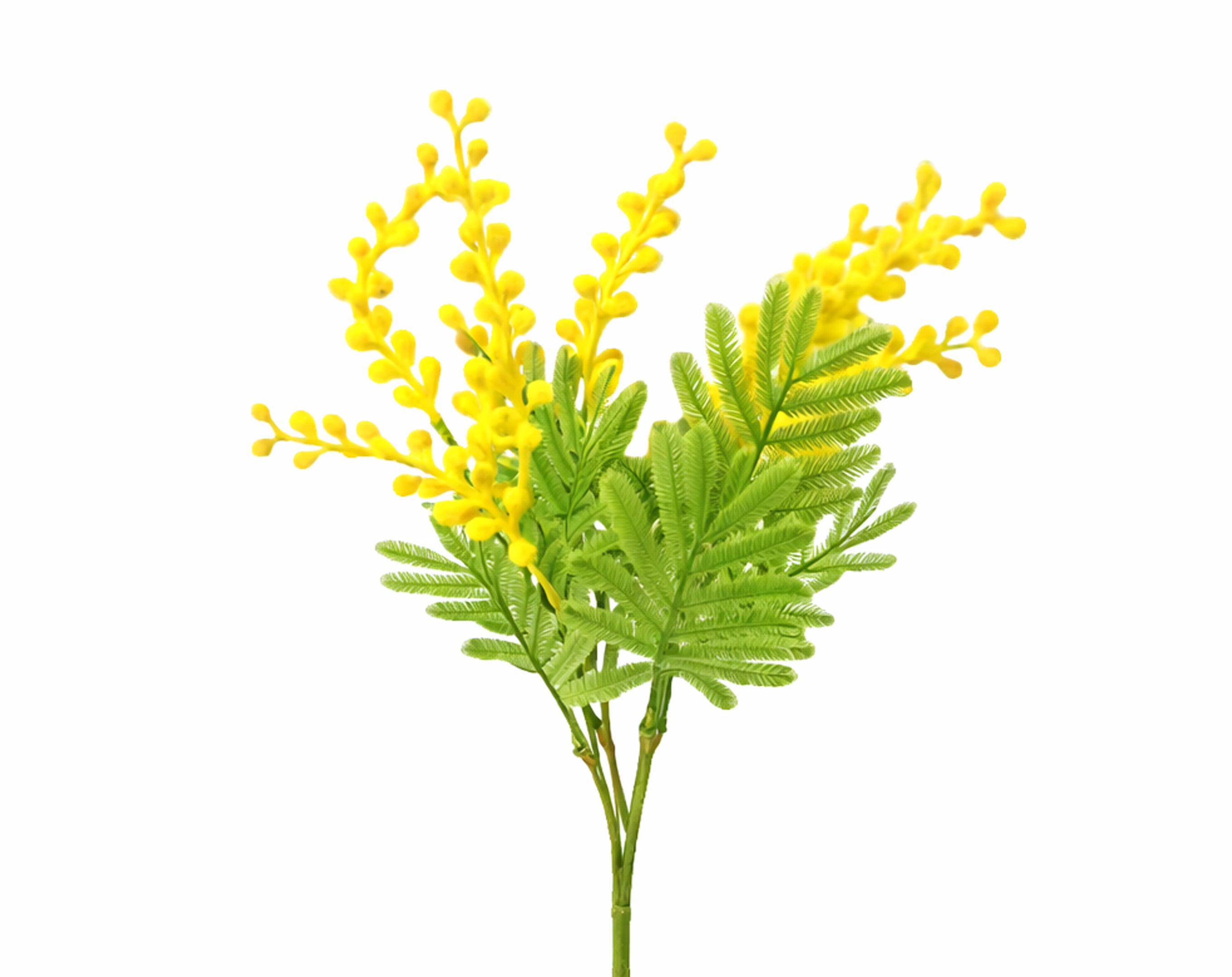 TALLO DE MIMOSA 36CM