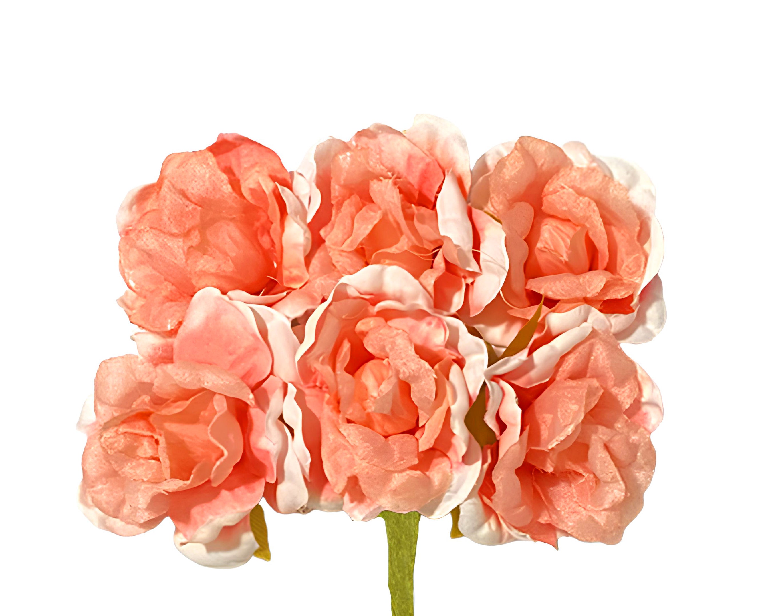 PICK 6 ROSELLINE PESCA | Incarto PPL per uova di Pasqua al cioccolato DAGERAF