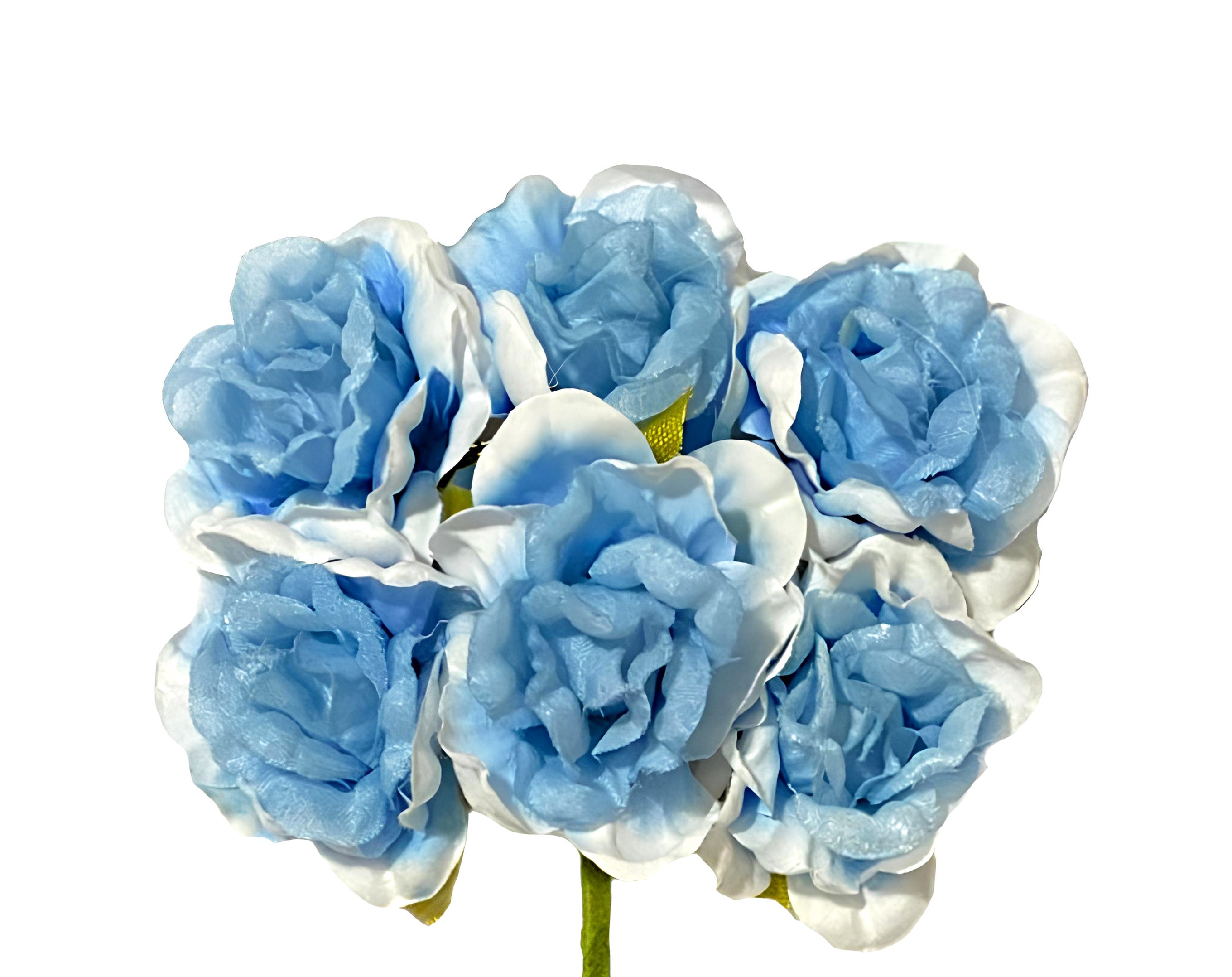 PICK 6 ROSELLINE AZZURRO | Incarto PPL per uova di Pasqua al cioccolato DAGERAF