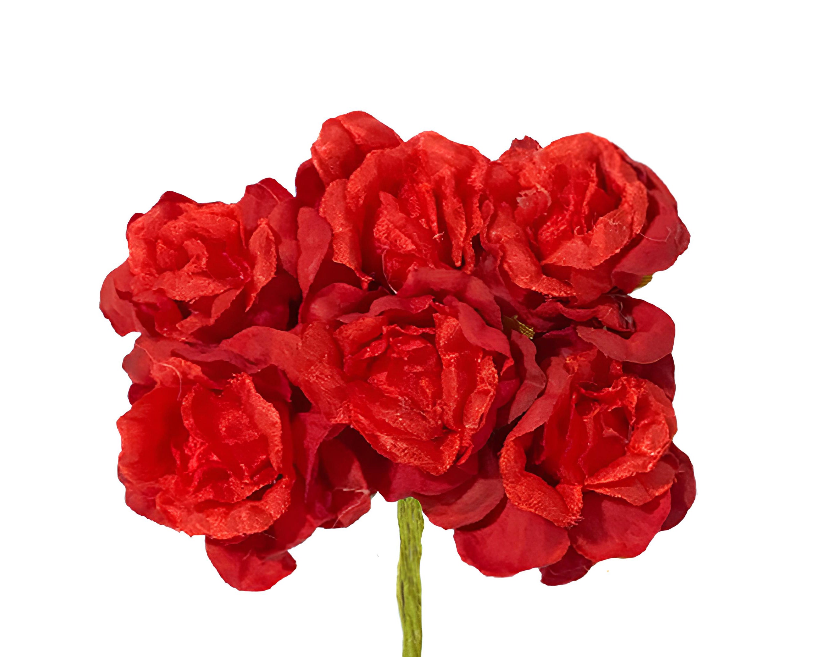 PICK 6 ROSELLINE ROSSO | Incarto PPL per uova di Pasqua al cioccolato DAGERAF