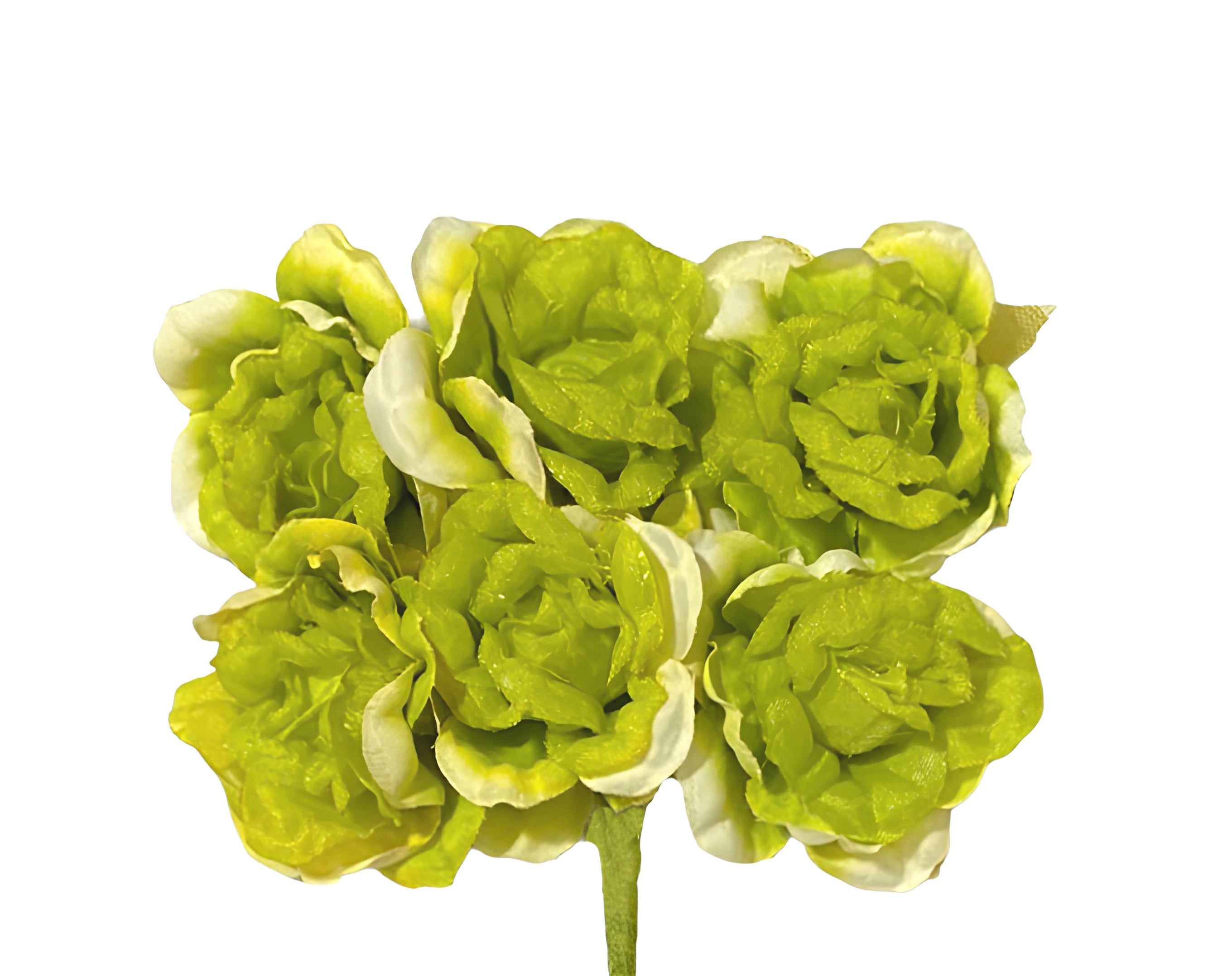 PICK 6 ROSELLINE VERDE | Incarto PPL per uova di Pasqua al cioccolato DAGERAF