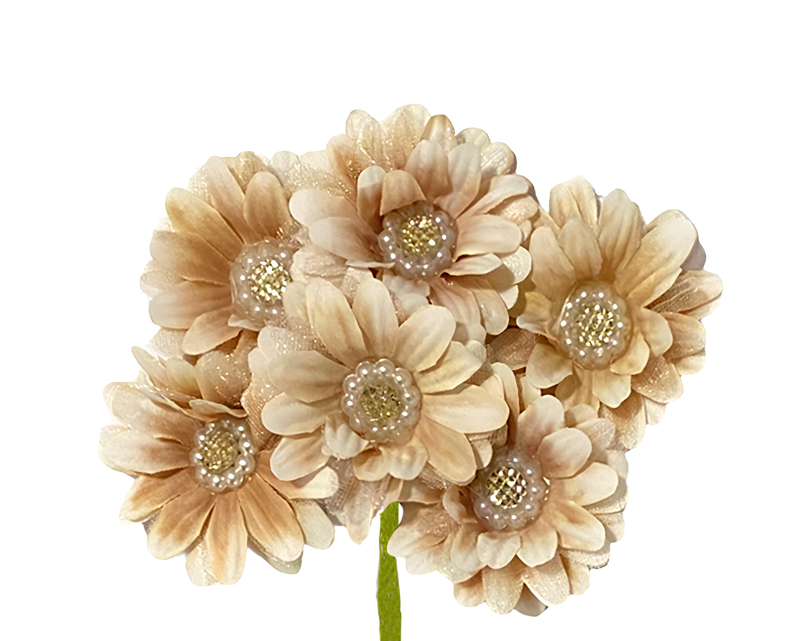 PICK 6 MARGHERITE CON PERLE FANGO | Incarto PPL per uova di Pasqua al cioccolato DAGERAF