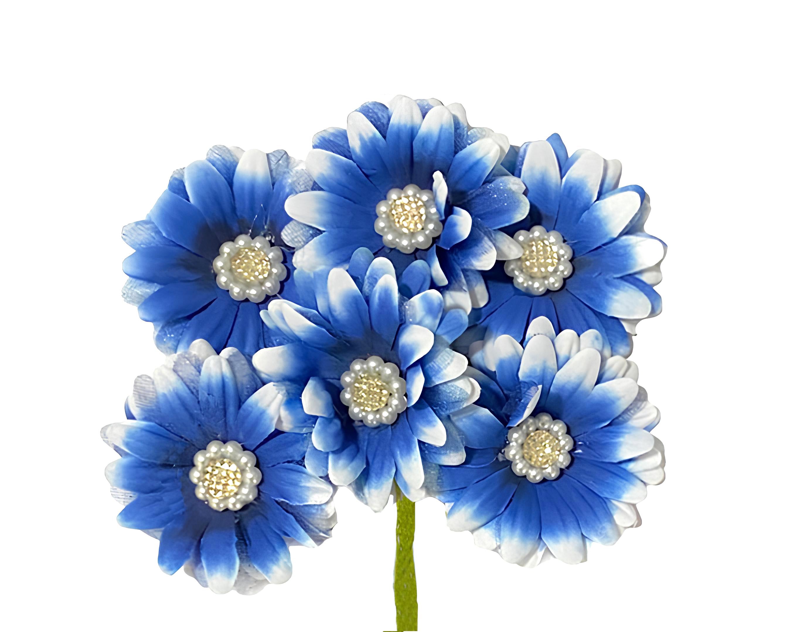 PICK 6 MARGHERITE CON PERLE BLU | Incarto PPL per uova di Pasqua al cioccolato DAGERAF