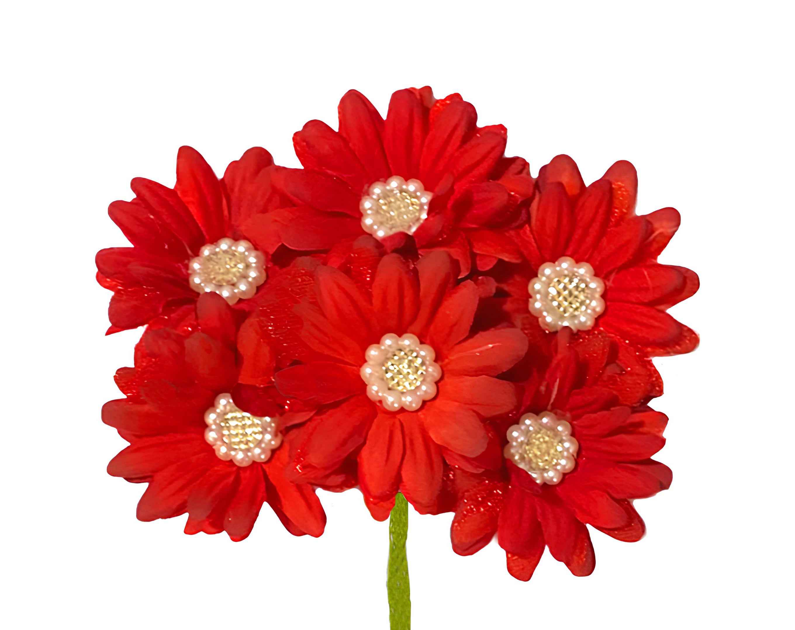 PICK 6 MARGHERITE CON PERLE ROSSO | Incarto PPL per uova di Pasqua al cioccolato DAGERAF