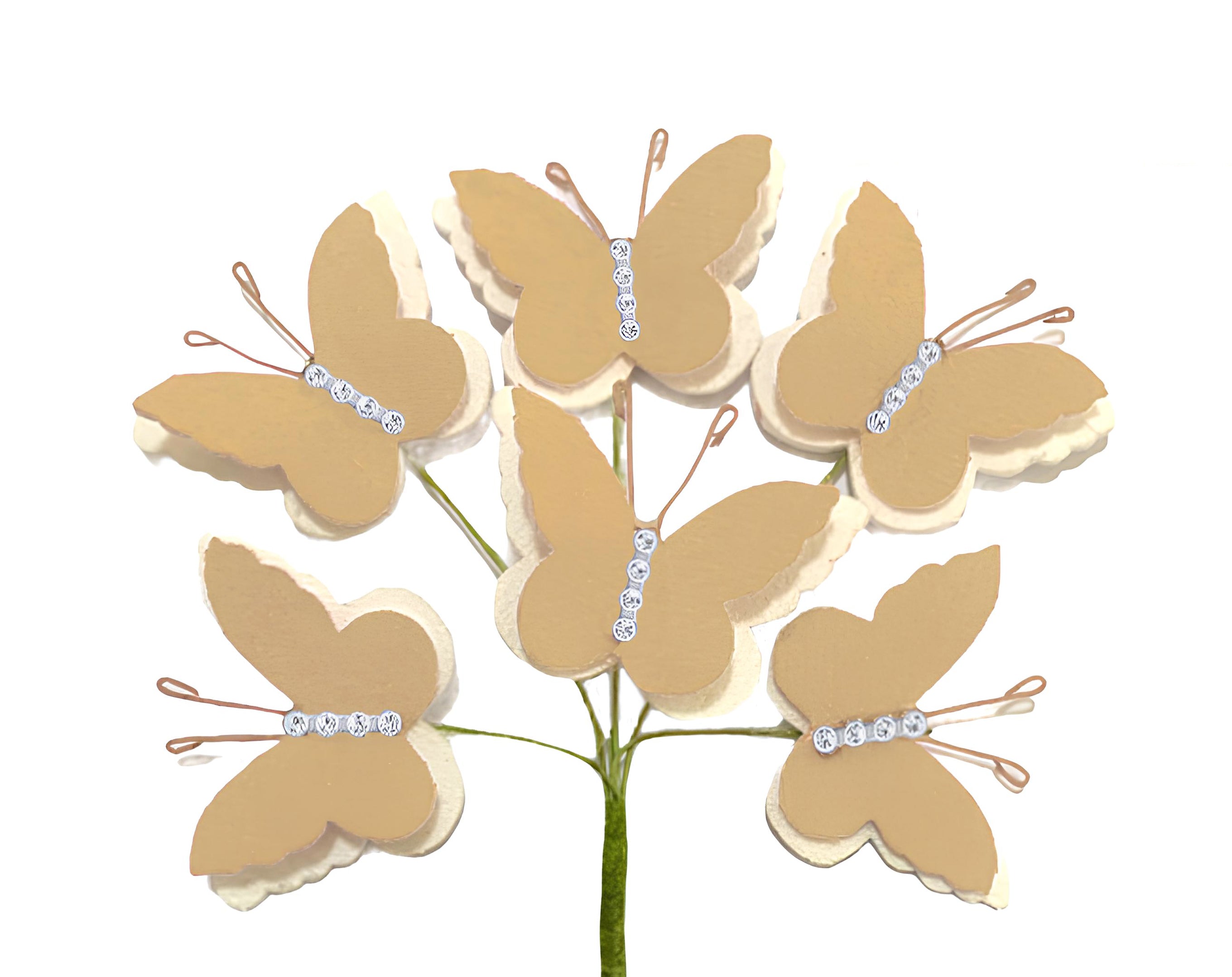 PICK 6 FARFALLE TORTORA | Incarto PPL per uova di Pasqua al cioccolato DAGERAF