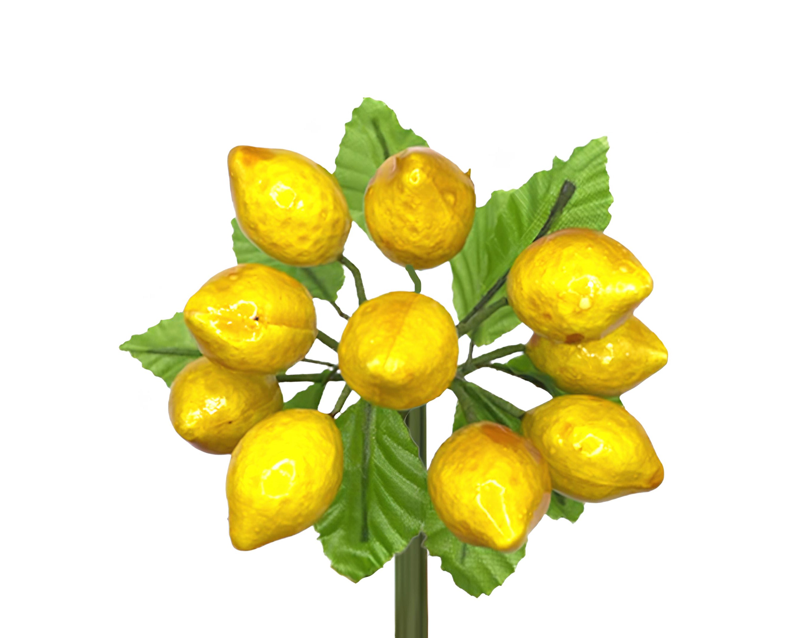 PICK 10 LIMONI CON FOGLIE | Incarto PPL per uova di Pasqua al cioccolato DAGERAF