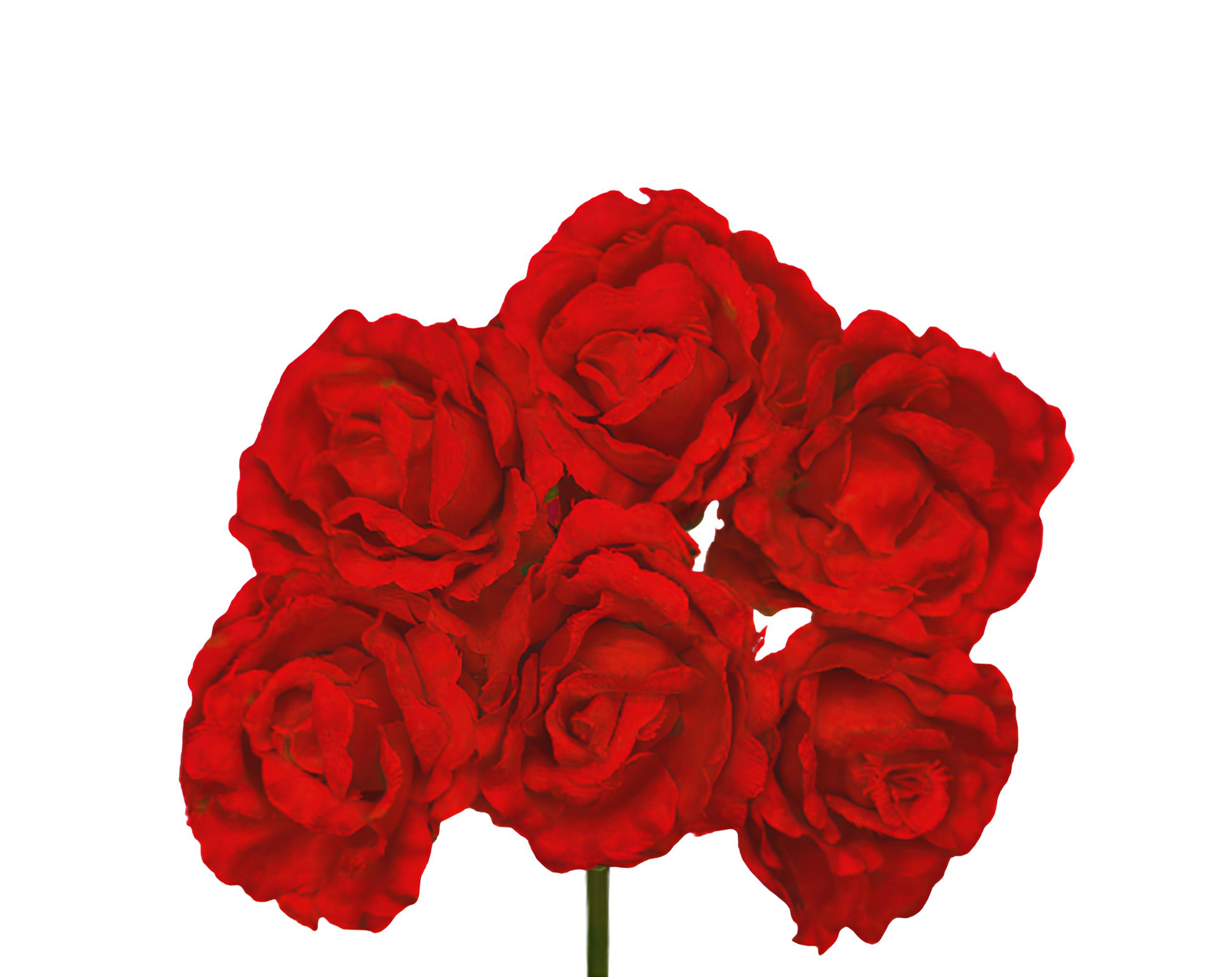 PICK 6 ROSE ROSSO | Incarto PPL per uova di Pasqua al cioccolato DAGERAF