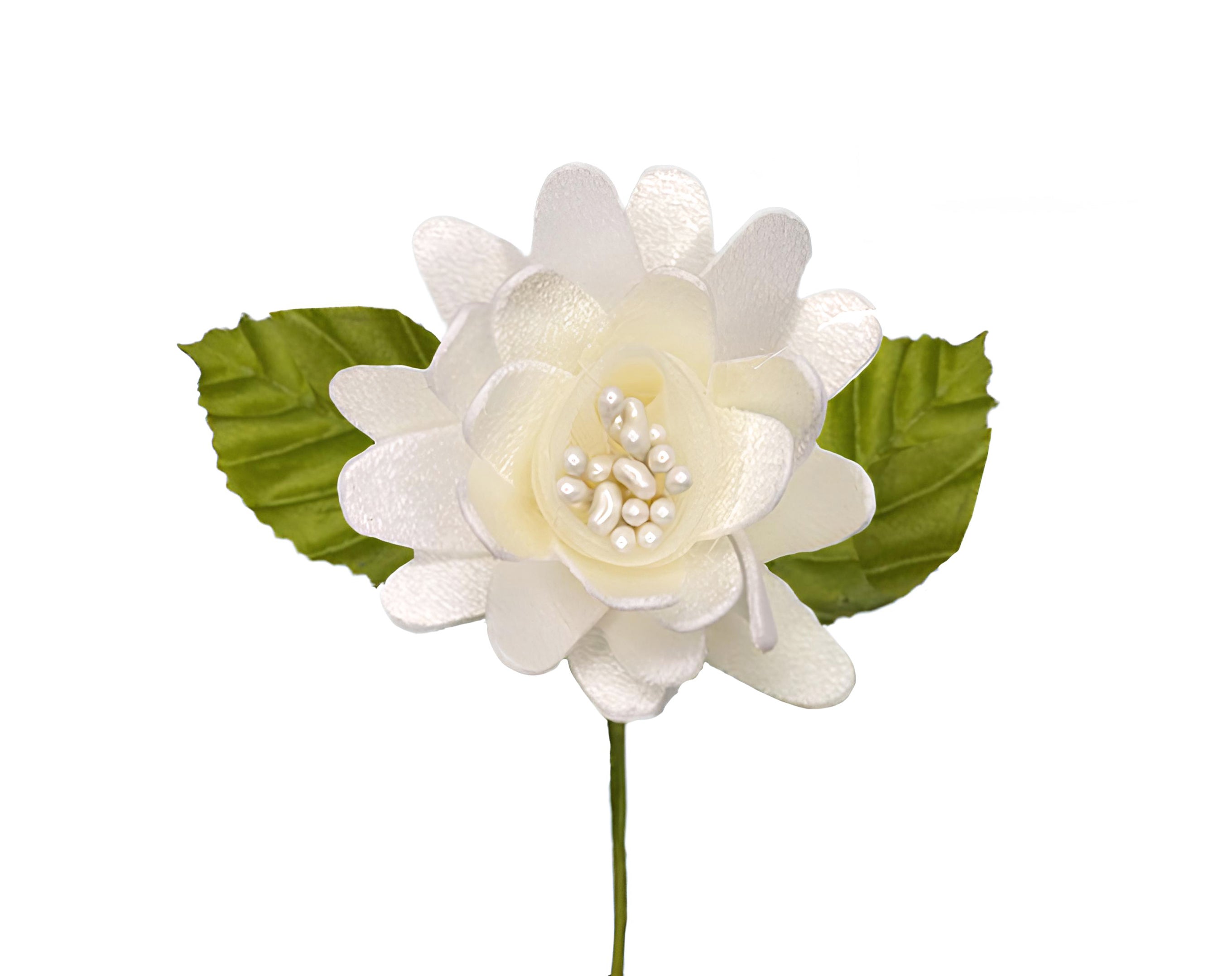 PICK PEONIA BIANCO CON 2 FOGLIE | Incarto PPL per uova di Pasqua al cioccolato DAGERAF