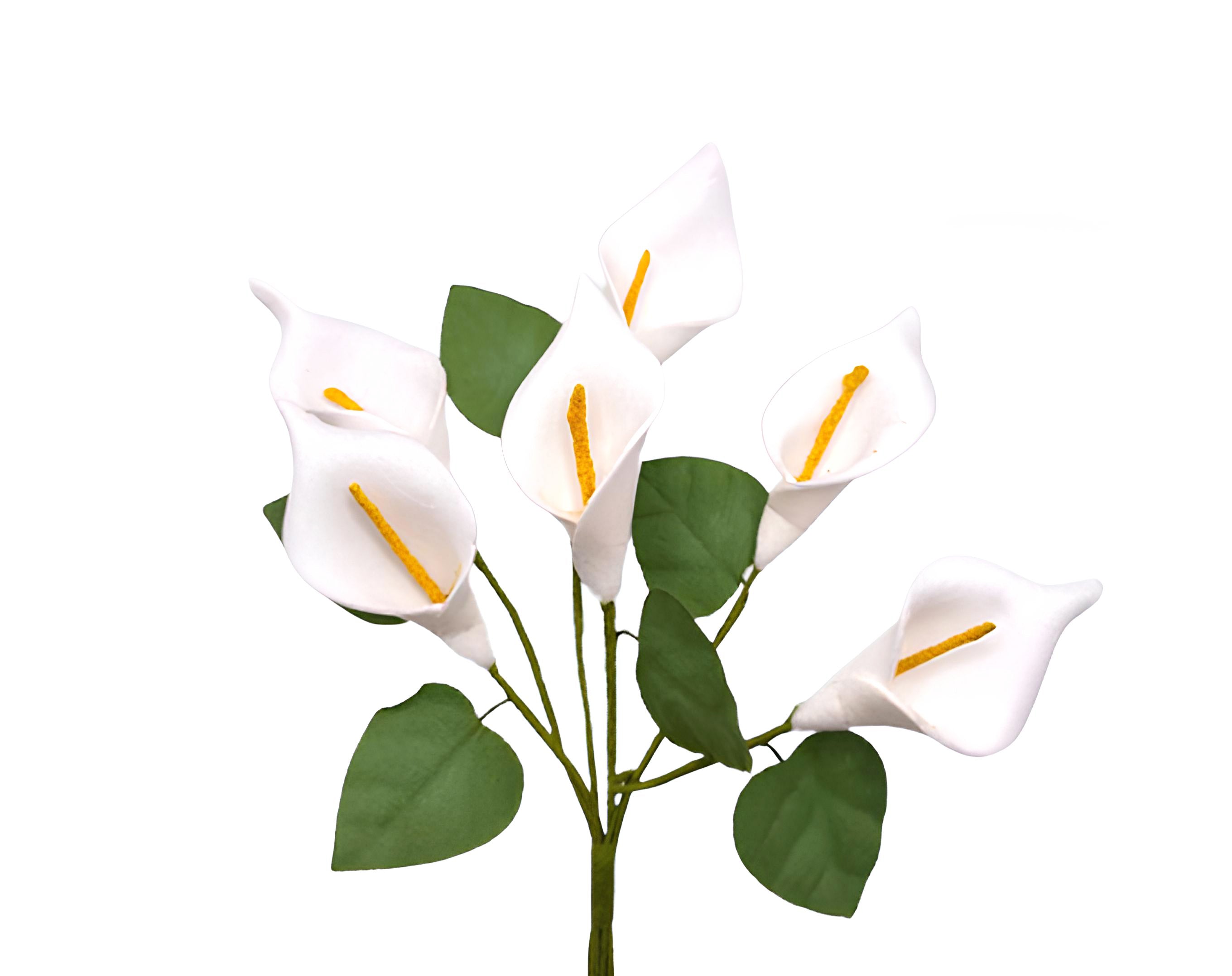 PICK 6 CALLE CON FOGLIE | Incarto PPL per uova di Pasqua al cioccolato DAGERAF