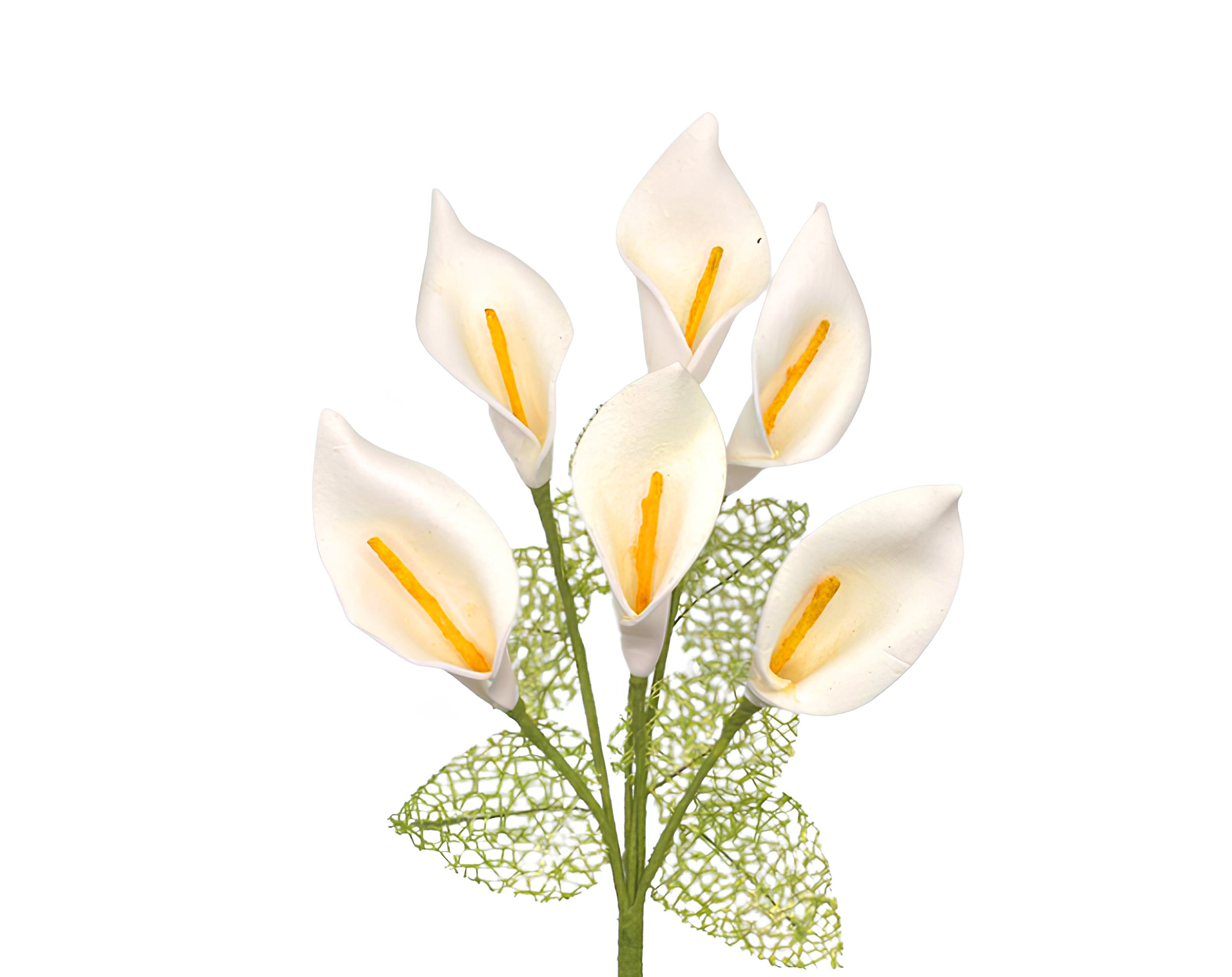 PICK 6 CALLE GRANDI CON FOGLIE | Incarto PPL per uova di Pasqua al cioccolato DAGERAF