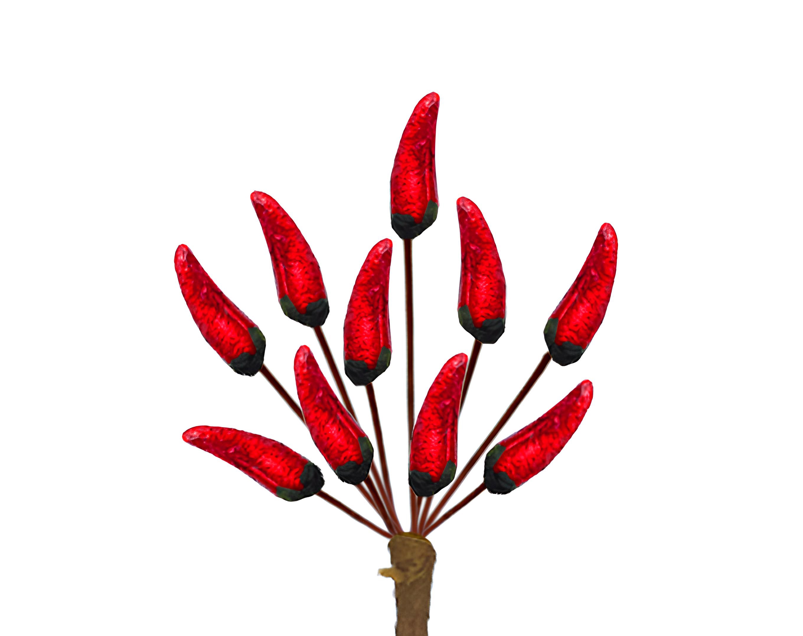 PICK 10 PEPERONCINI | Incarto PPL per uova di Pasqua al cioccolato DAGERAF