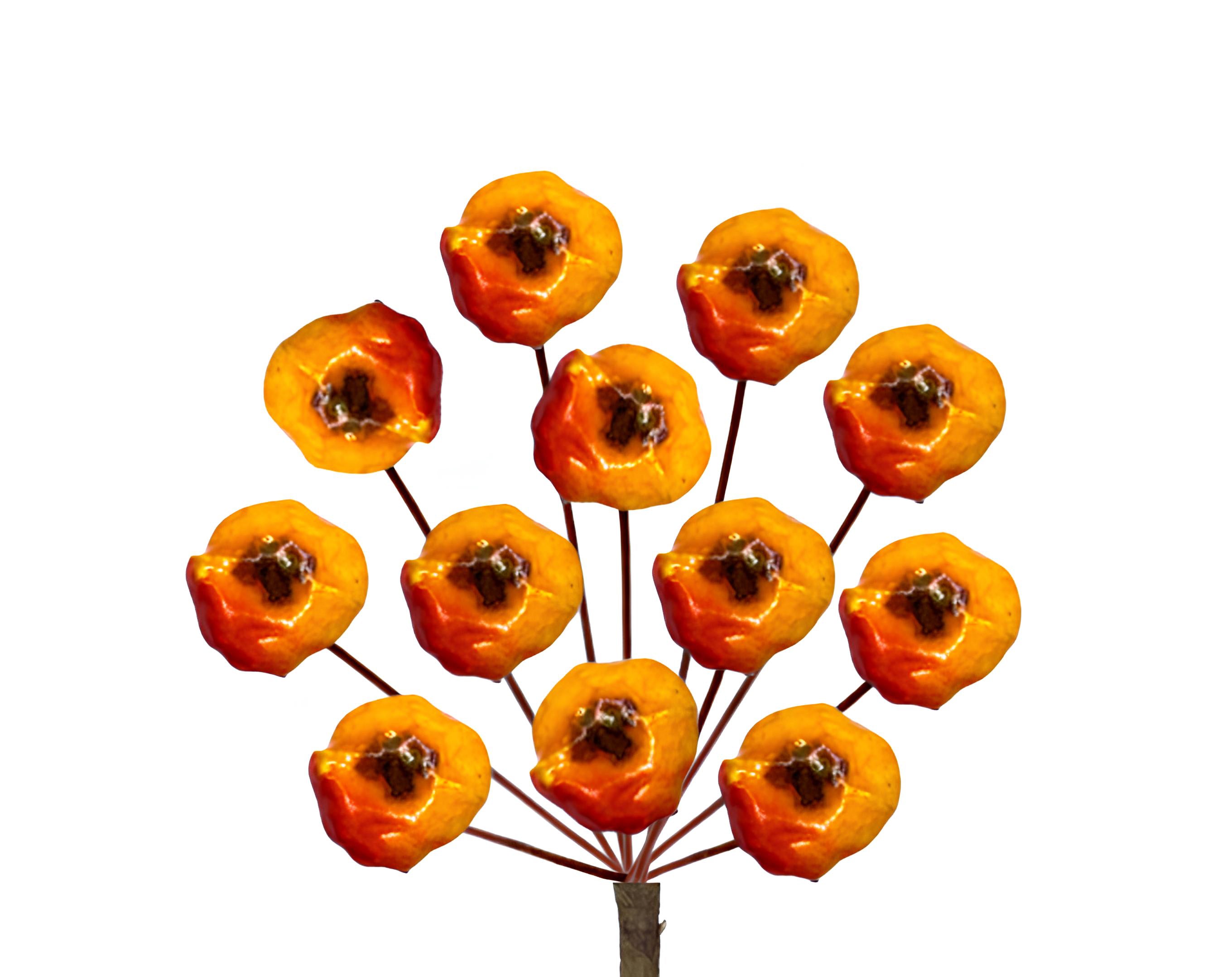 PICK 12 MELOGRANI | Incarto PPL per uova di Pasqua al cioccolato DAGERAF