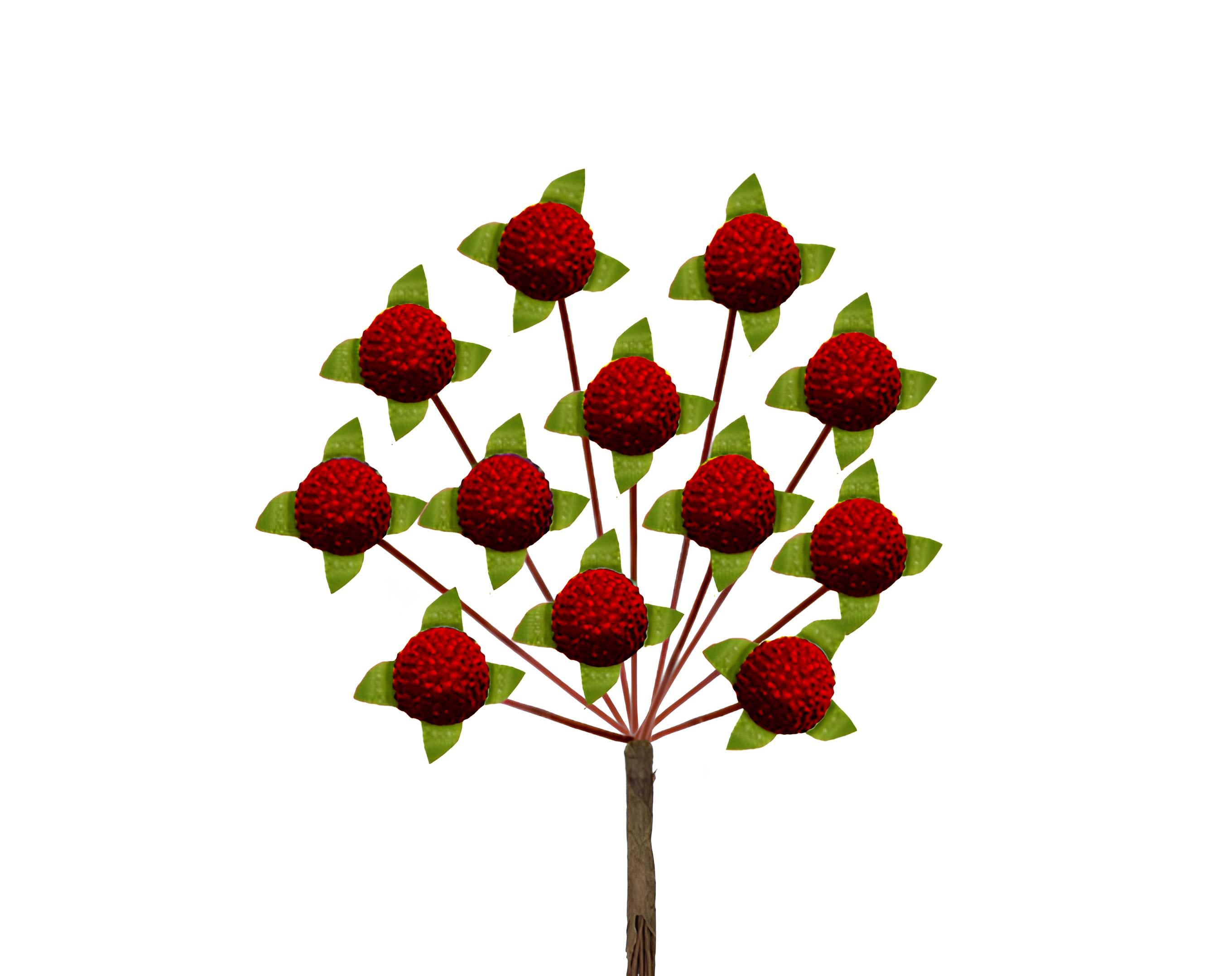 PICK 12 FRAGOLE | Incarto PPL per uova di Pasqua al cioccolato DAGERAF