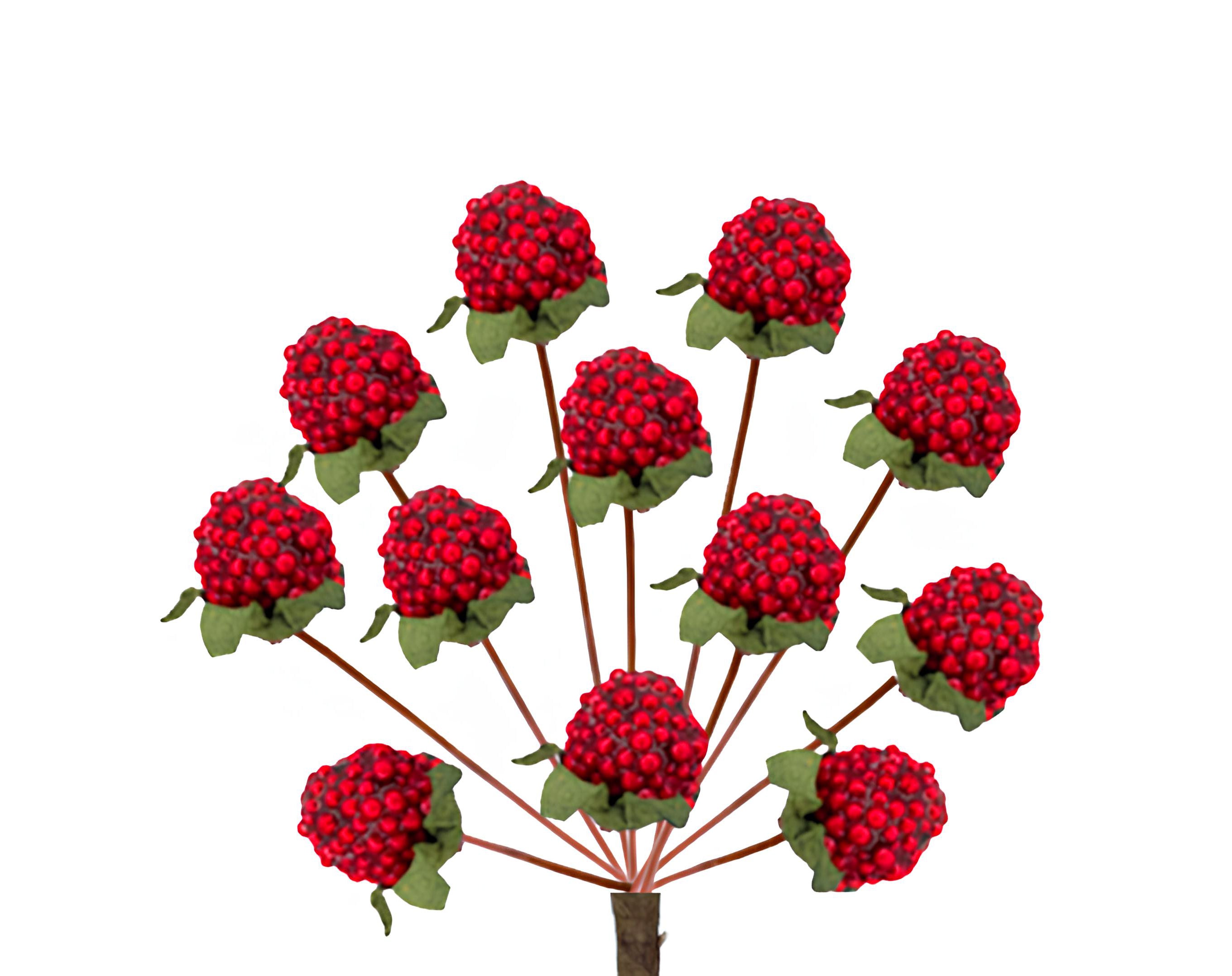 PICK 12 LAMPONI | Incarto PPL per uova di Pasqua al cioccolato DAGERAF