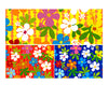 INCARTO PPL 120X120 3 COLORI ASSORTITI FAVIGNANA