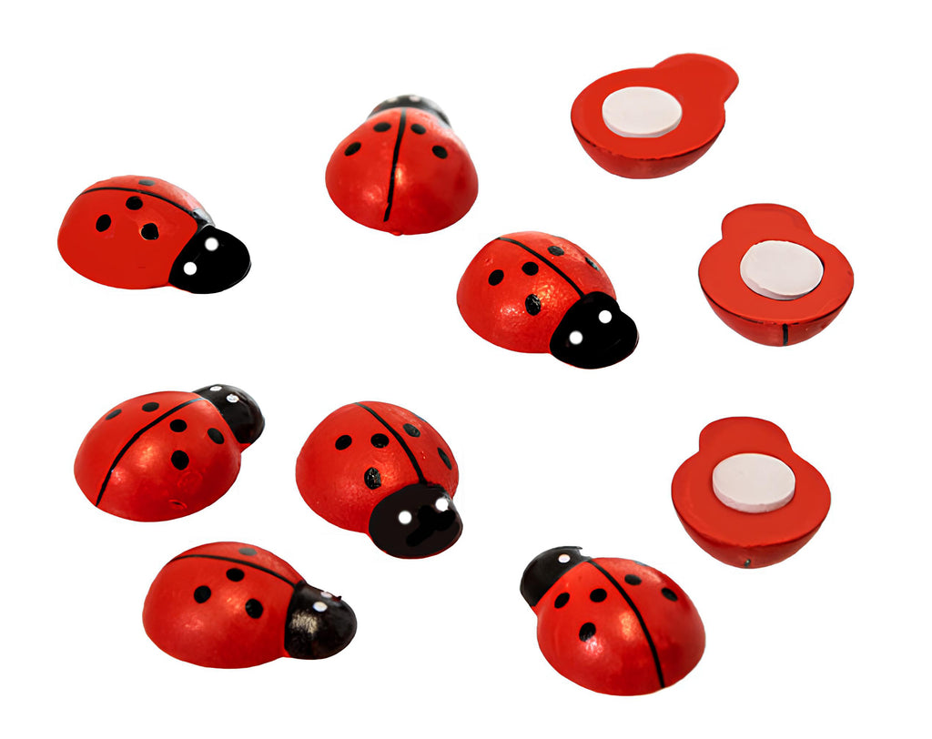 COCCINELLA IN LEGNO CON ADESIVO