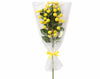 RAMA DE MIMOSA DE 67 CM EN SOBRE