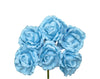 PICK 6 ROSE AZZURRO