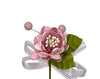 PICK PEONIA CON FIOCCO ROSA